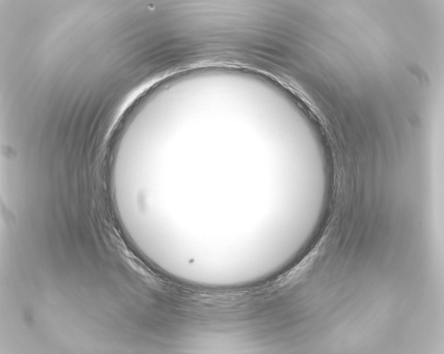 X0000090950830200708021059