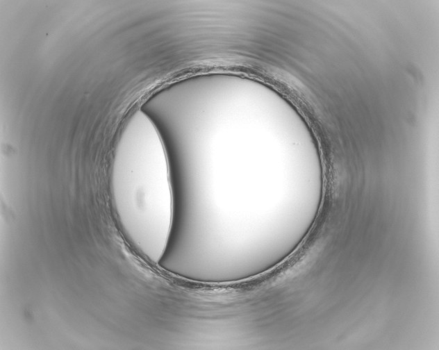 X0000090950833200708021059