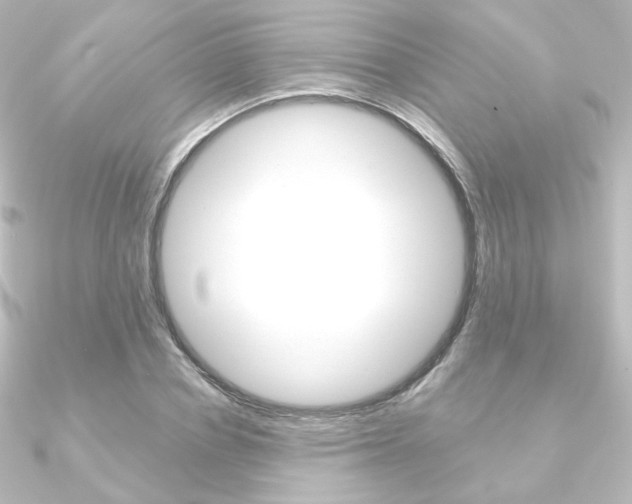 X0000090950834200708021059
