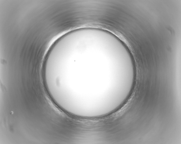 X0000090950838200708021059