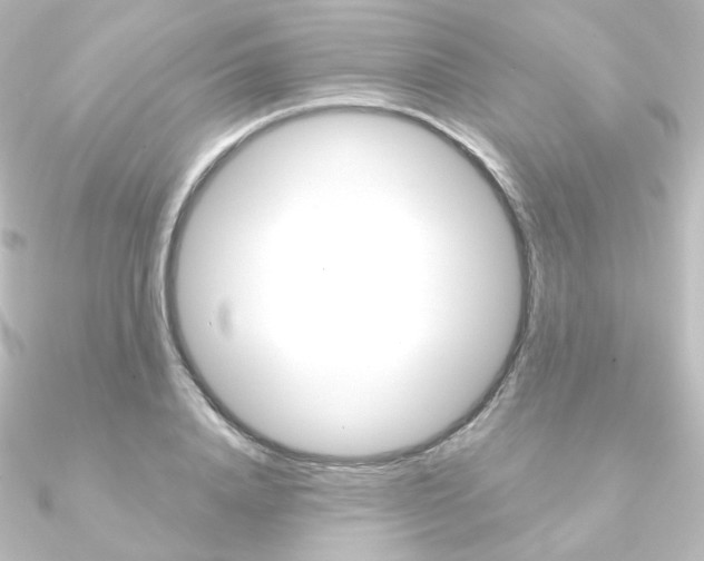 X0000090950840200708021059