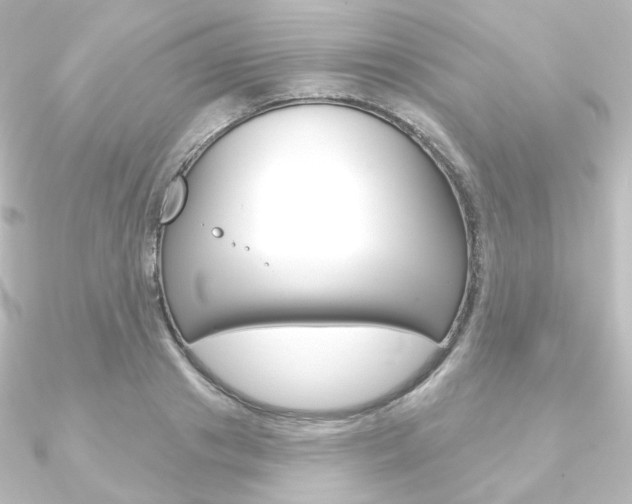 X0000090950841200708021059