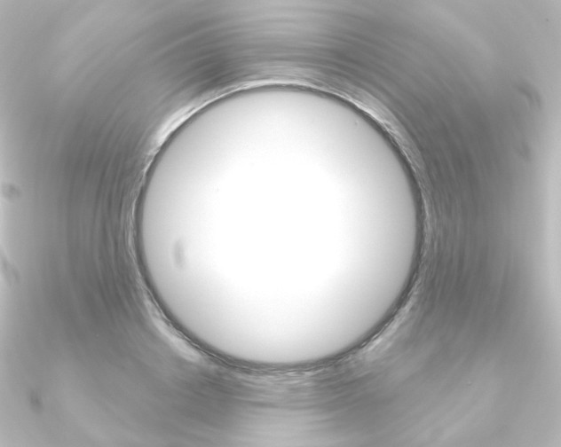 X0000090950842200708021059