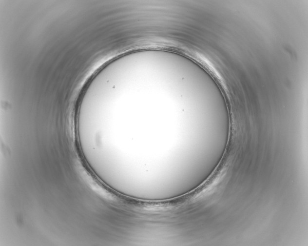 X0000090950843200708021100