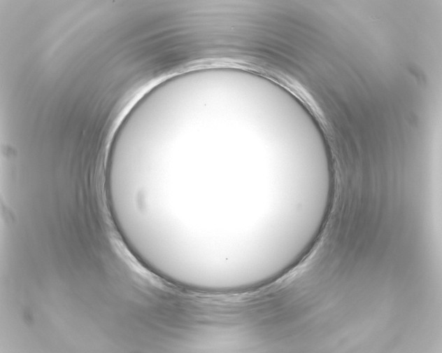 X0000090950844200708021100