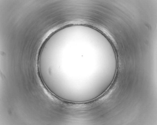 X0000090950845200708021100