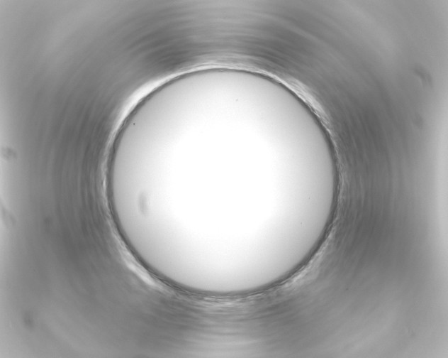 X0000090950846200708021100