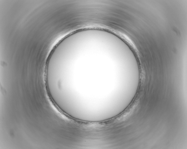 X0000090950847200708021100