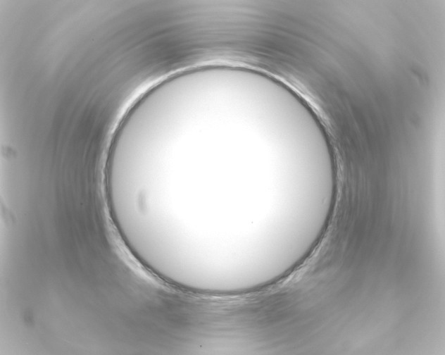 X0000090950848200708021100