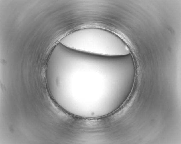 X0000090950849200708021100