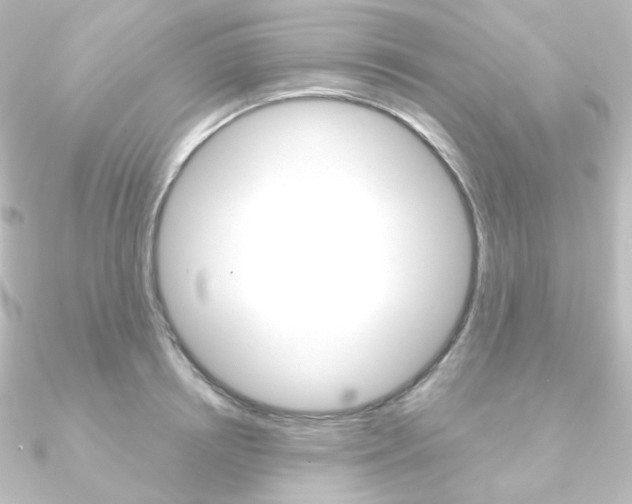 X0000090950850200708021100