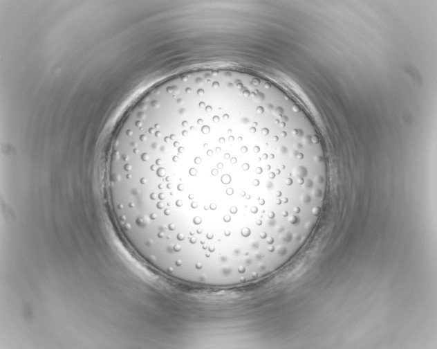X0000090950851200708021100