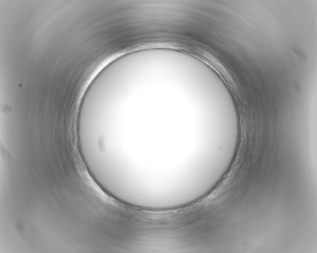 X0000090950852200708021100