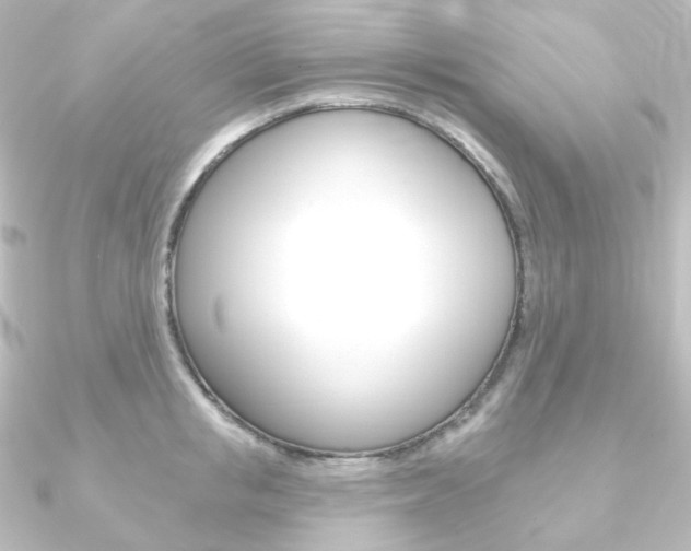 X0000090950853200708021100