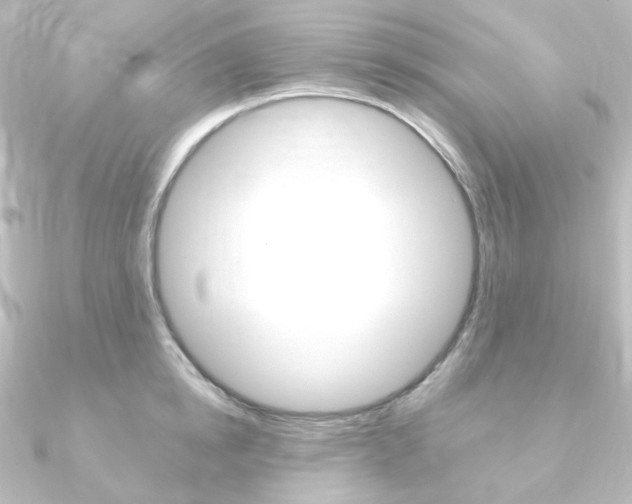 X0000090950854200708021100