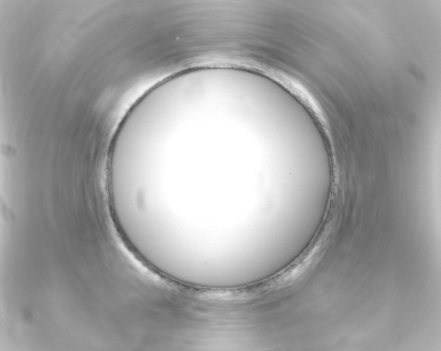 X0000090950855200708021100