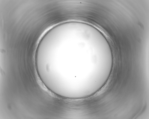 X0000090950856200708021100