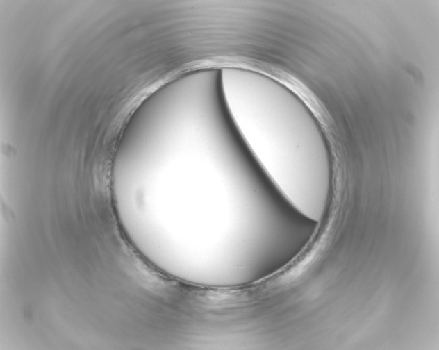 X0000090950857200708021100