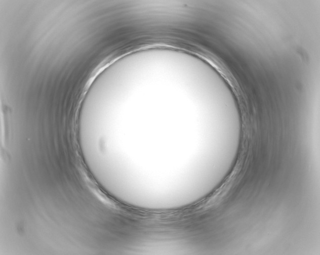 X0000090950858200708021100