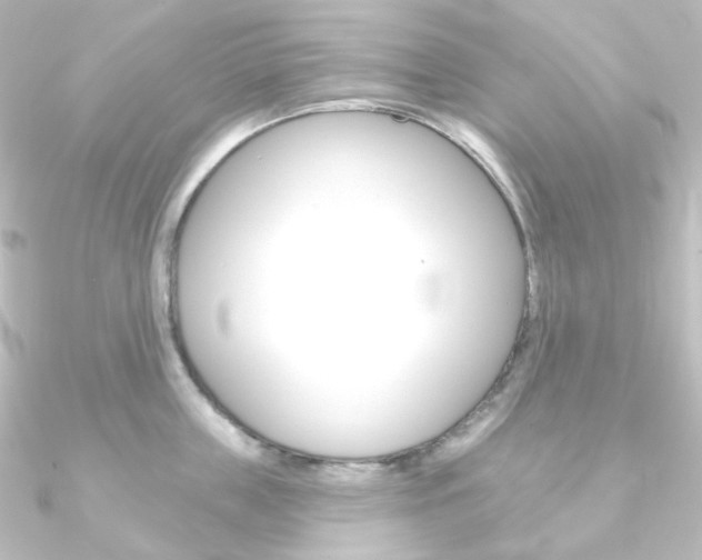 X0000090950859200708021100