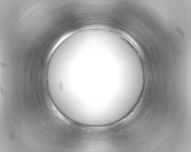 X0000090950860200708021100
