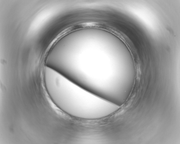 X0000090950861200708021100
