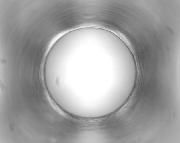 X0000090950862200708021100