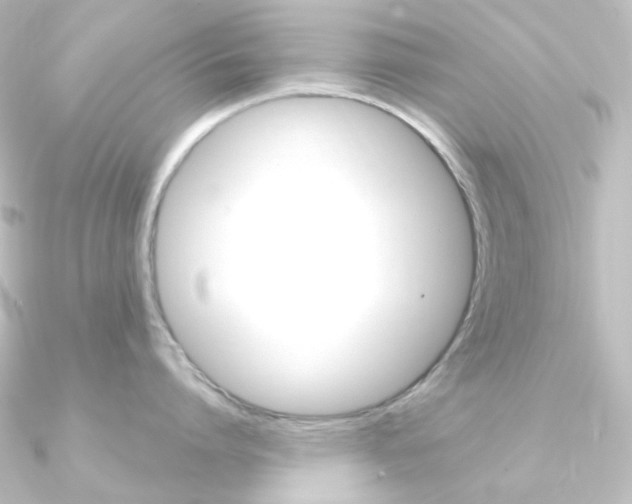 X0000090950864200708021100