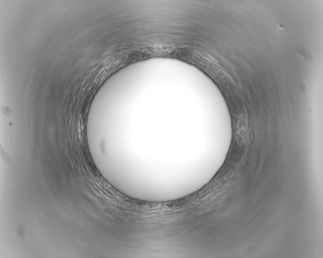 X0000090950866200708021059