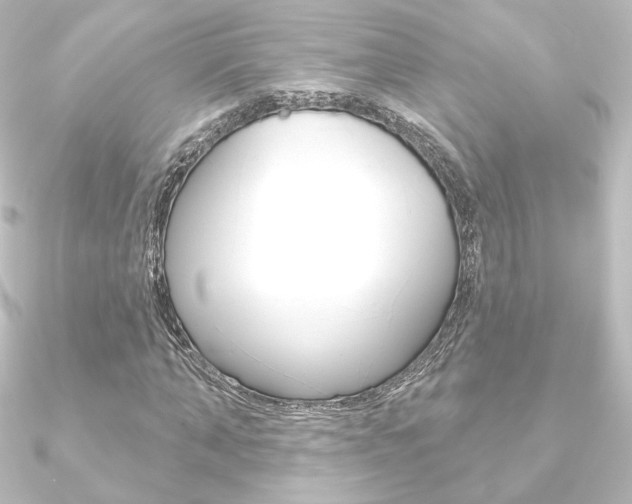 X0000090950870200708021059