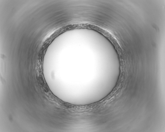 X0000090950871200708021059