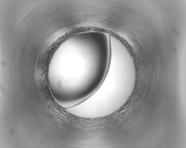 X0000090950872200708021059