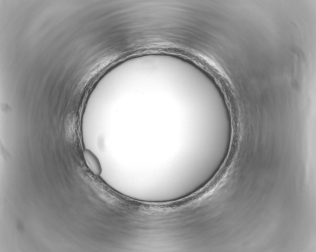 X0000090950873200708021059