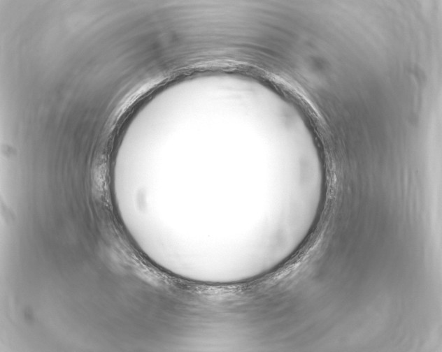 X0000090950874200708021059