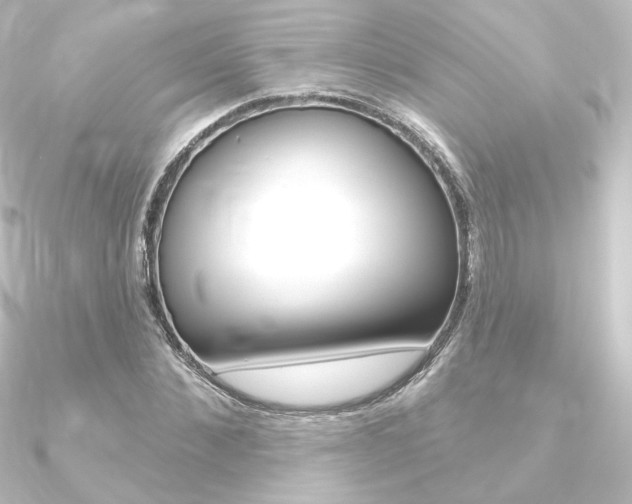 X0000090950876200708021059
