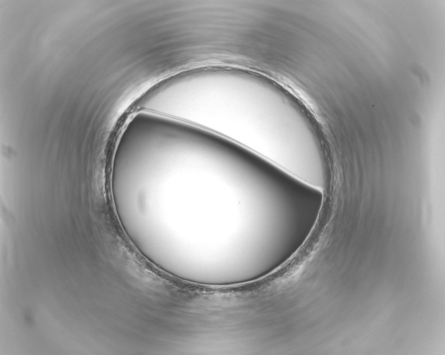 X0000090950877200708021059