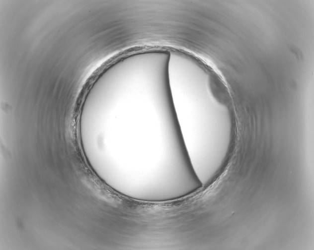 X0000090950879200708021059
