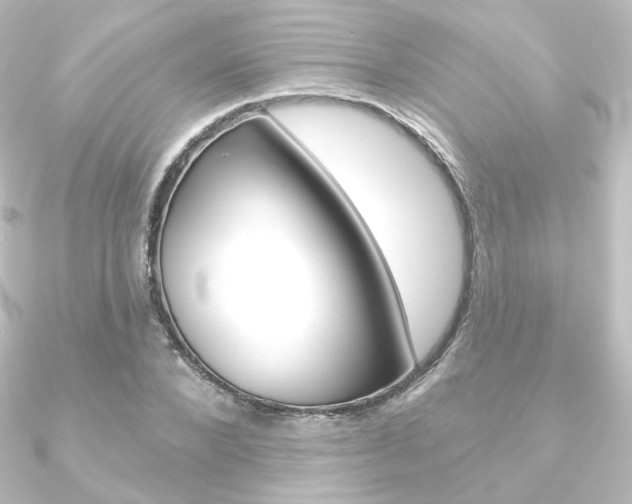 X0000090950880200708021059