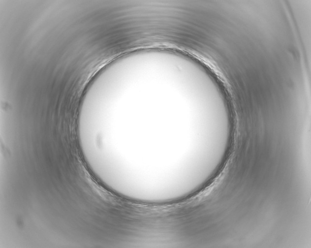 X0000090950881200708021059