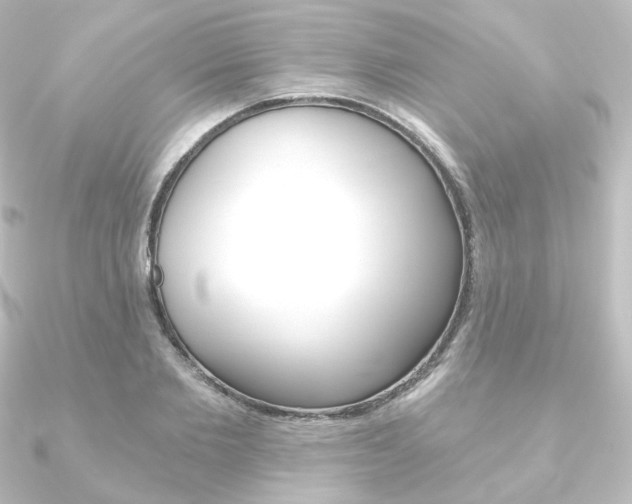 X0000090950885200708021059