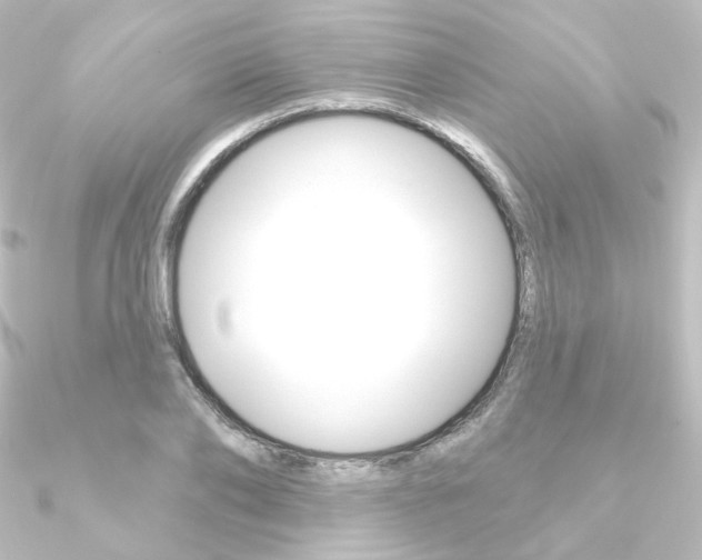 X0000090950886200708021059