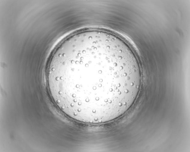 X0000090950887200708021059