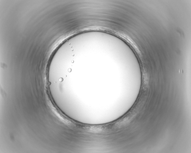 X0000090950890200708021059