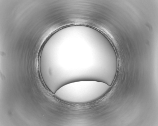 X0000090950891200708021059