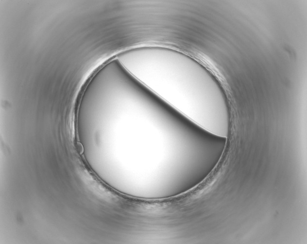 X0000090950892200708021059
