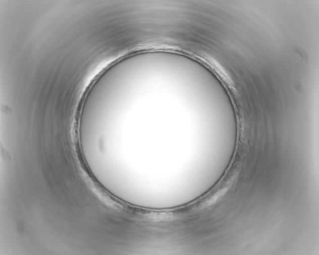 X0000090950893200708021059