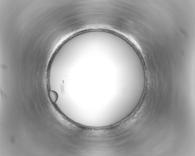 X0000090950895200708021059