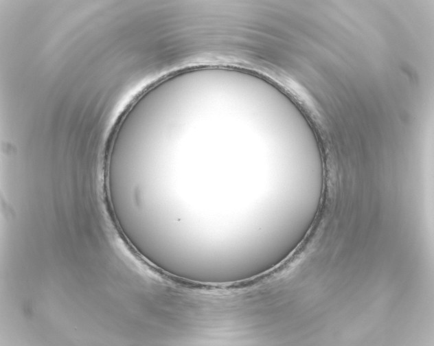 X0000090950896200708021059