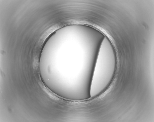 X0000090950897200708021059
