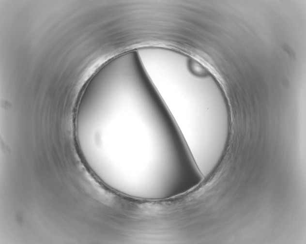 X0000090950898200708021059